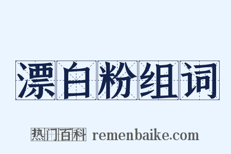 漂白粉组词是什么意思的图片